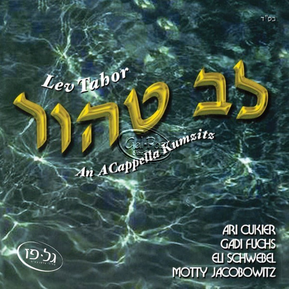 לב טהור 1 <br> Lev Tahor 1 (Acappella Kumzitz)