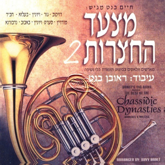 מצעד החצרות 2 <br> Chassidic Dynasties 2