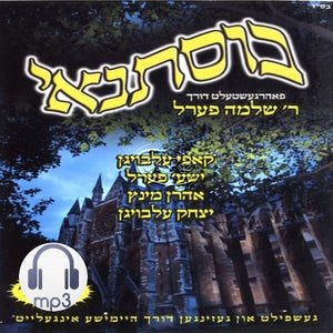 בוסתנאי 2 <br> Bostenai 2 (MP3)