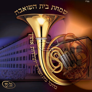 שמחת בית השואבה תשס"א <br> Simchas Beis Hasheiva 5761