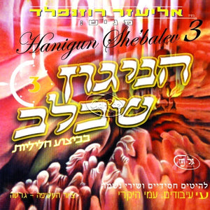 הניגון שבלב 3 <br> Hanigun Shebalev 3