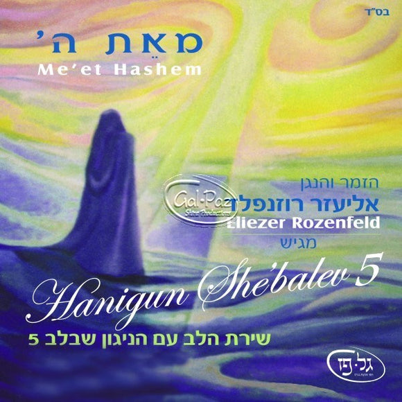 הניגון שבלב 5 <br> Hanigun Shebalev 5