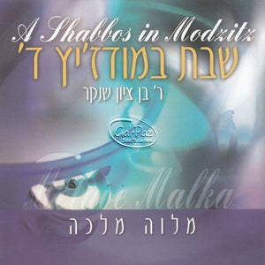 שבת במודז'יץ 4 - מלוה מלכה <br> A Shabbos In Modzitz 4 - Melaveh Malka