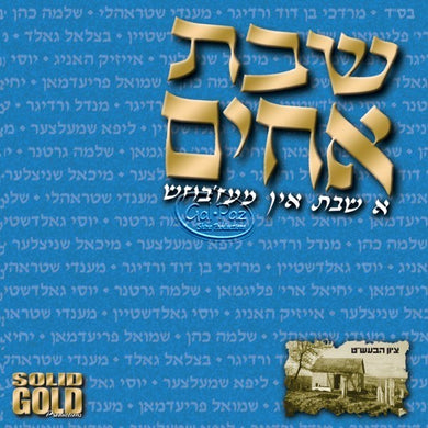 שבת אחים - א שבת אין מעז'בוז <br> Shevet Achim - A Shabbos In Mezbish